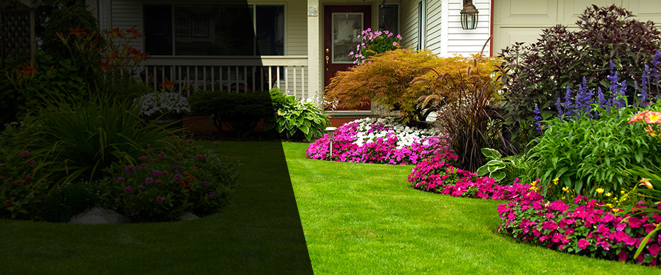 Mount Pocono Landscapers