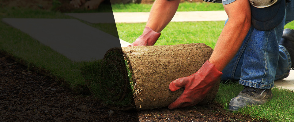 Mount Pocono Landscapers
